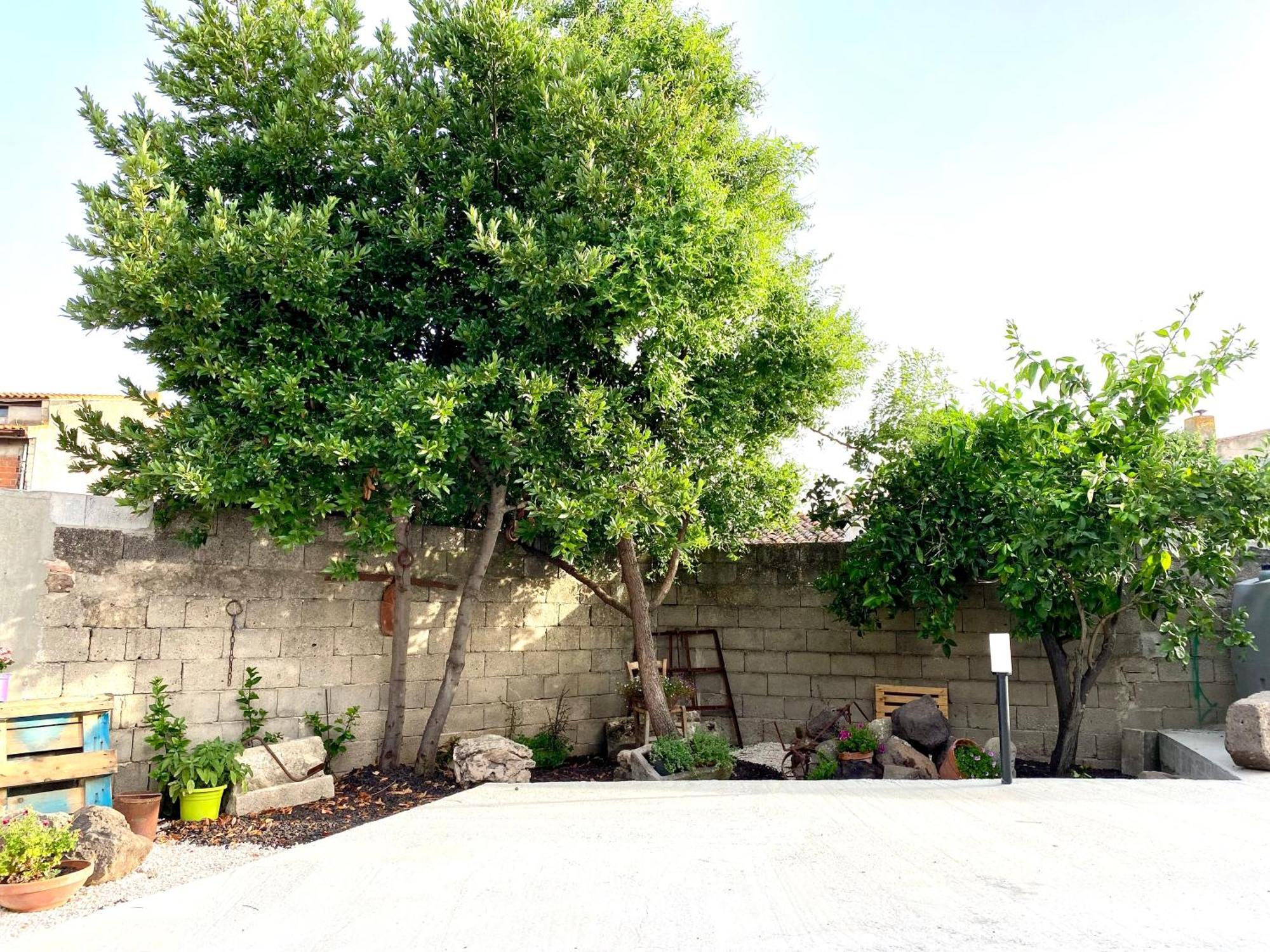 Ferienwohnung Casa Mora San Vero Milis Exterior foto